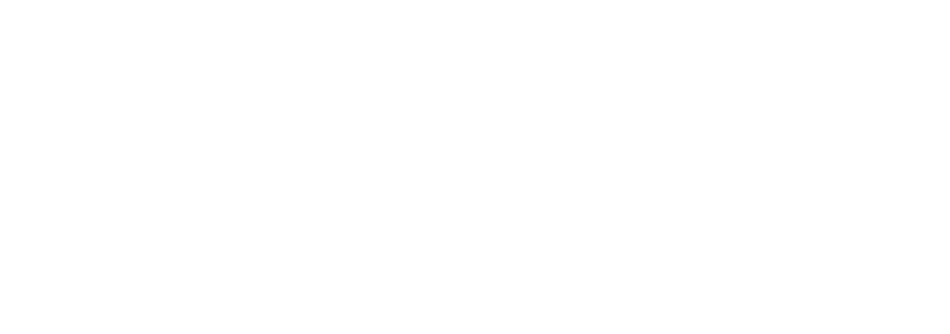 Eagle Software Courses
